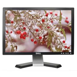 Dell E198WFPv - LCD 19 - Ecran