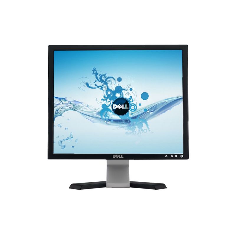 Dell E198FP - LCD 19 - Ecran