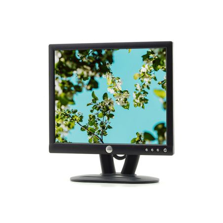 TFT 17" Dell E172FPt - Écran Vintage