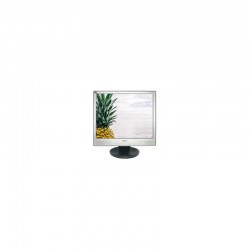 NEC AccuSync LCD 73VM - LCD 17 - Ecran