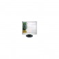 NEC AccuSync LCD 93VM - LCD 19 - Ecran NEC AccuSync LCD 93VM - LCD 19 - Ecran