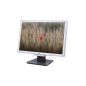 Acer AL1916W - LCD 19  - Ecran