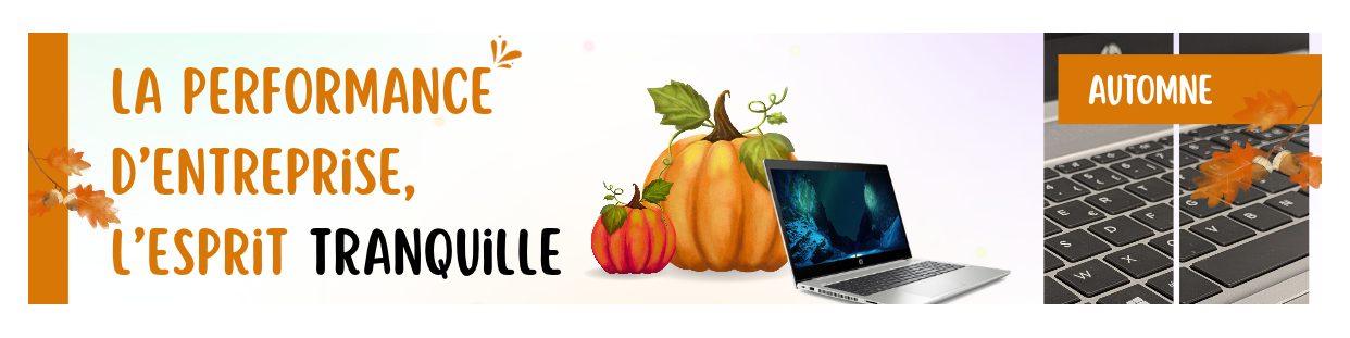 HP ProBook 450 G6